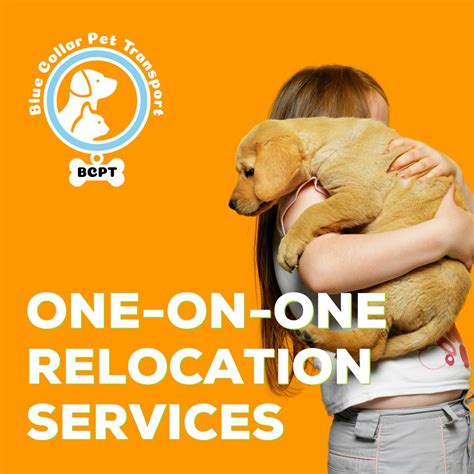 pet relocation services near me.